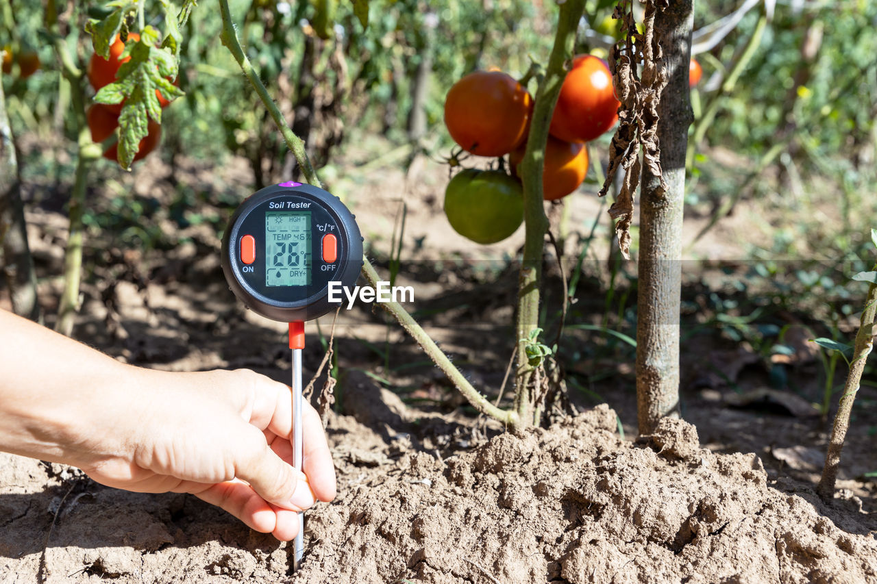 Measuring temperature, moisture content of the soil, environmental humidity and illumination