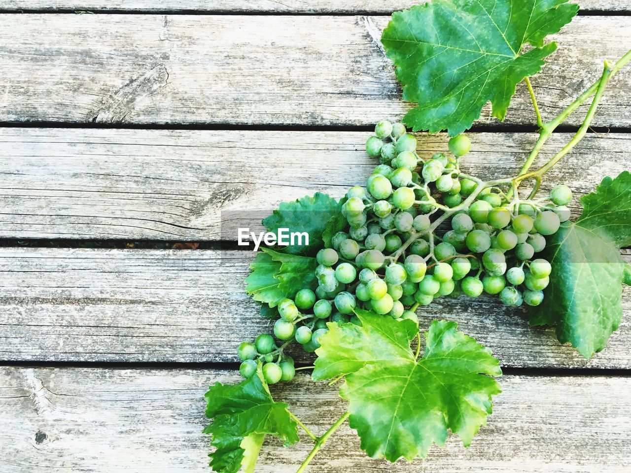 Close-up of grapes on wooden table