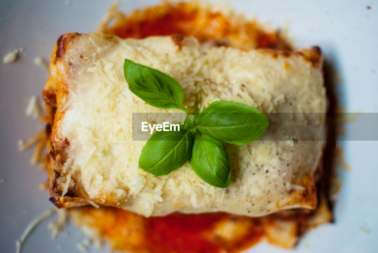 Directly above shot of lasagna served on plate