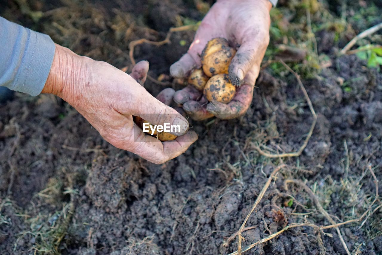 HIGH ANGLE VIEW OF HANDS WORKING ON ROCK