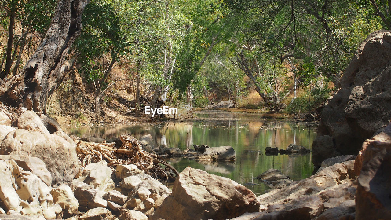 REFLECTION OF TREES ON ROCKS AT WATER