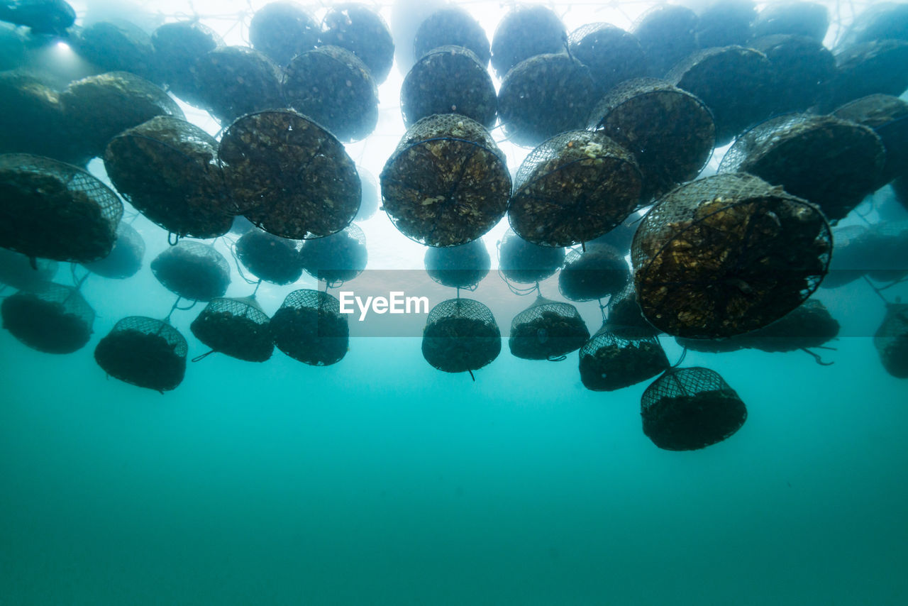 Oyster farm, ishikawa, notojima , japan