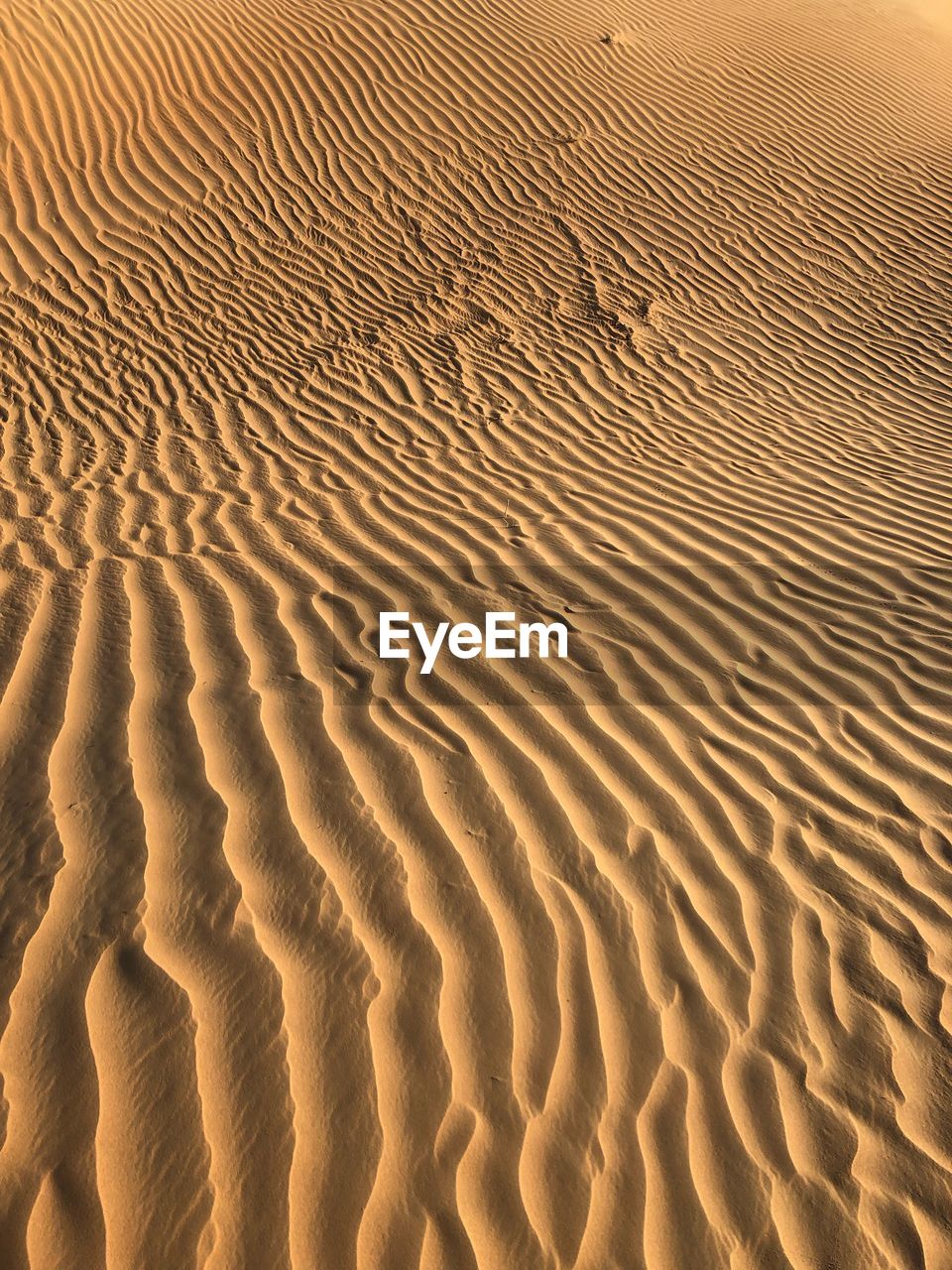 Sand dunes in desert