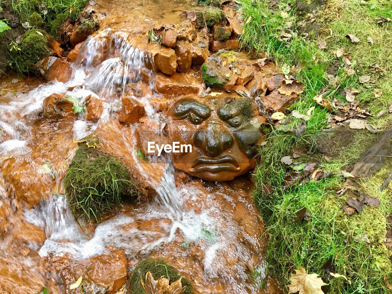 HIGH ANGLE VIEW OF TURTLE IN THE WATER