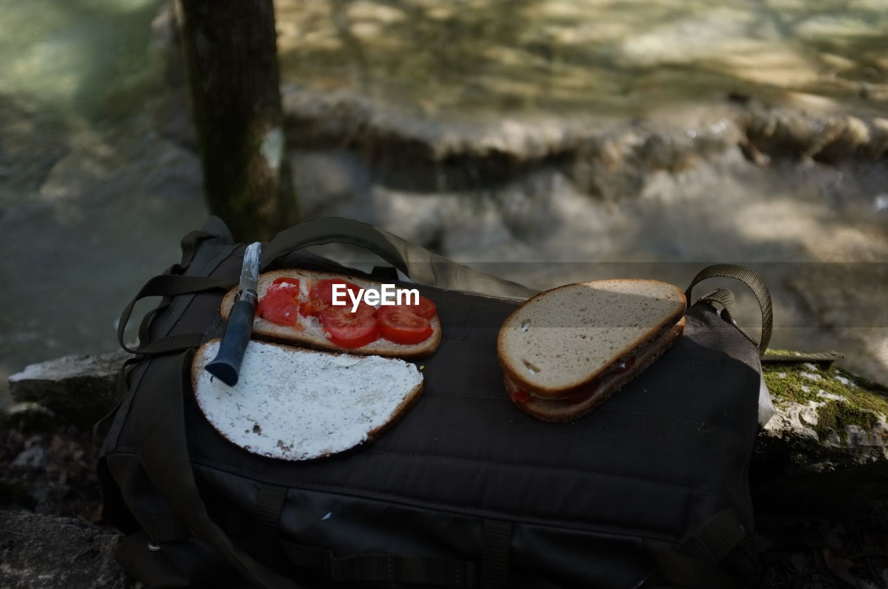 High angle view of fresh sandwich on bag