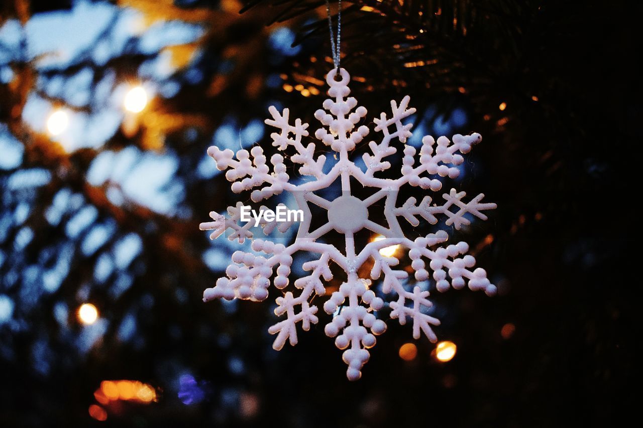 CLOSE-UP OF ILLUMINATED CHRISTMAS TREE AT NIGHT