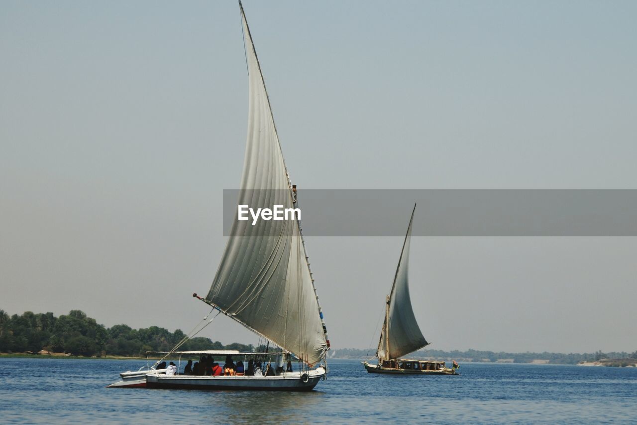 Sailboat sailing on sea against clear sky