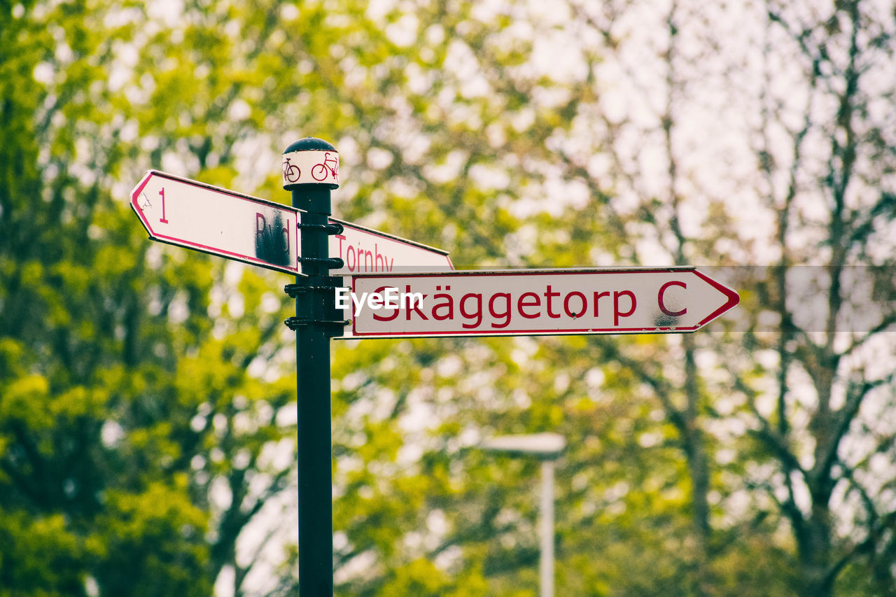 Low angle view of road signs against trees