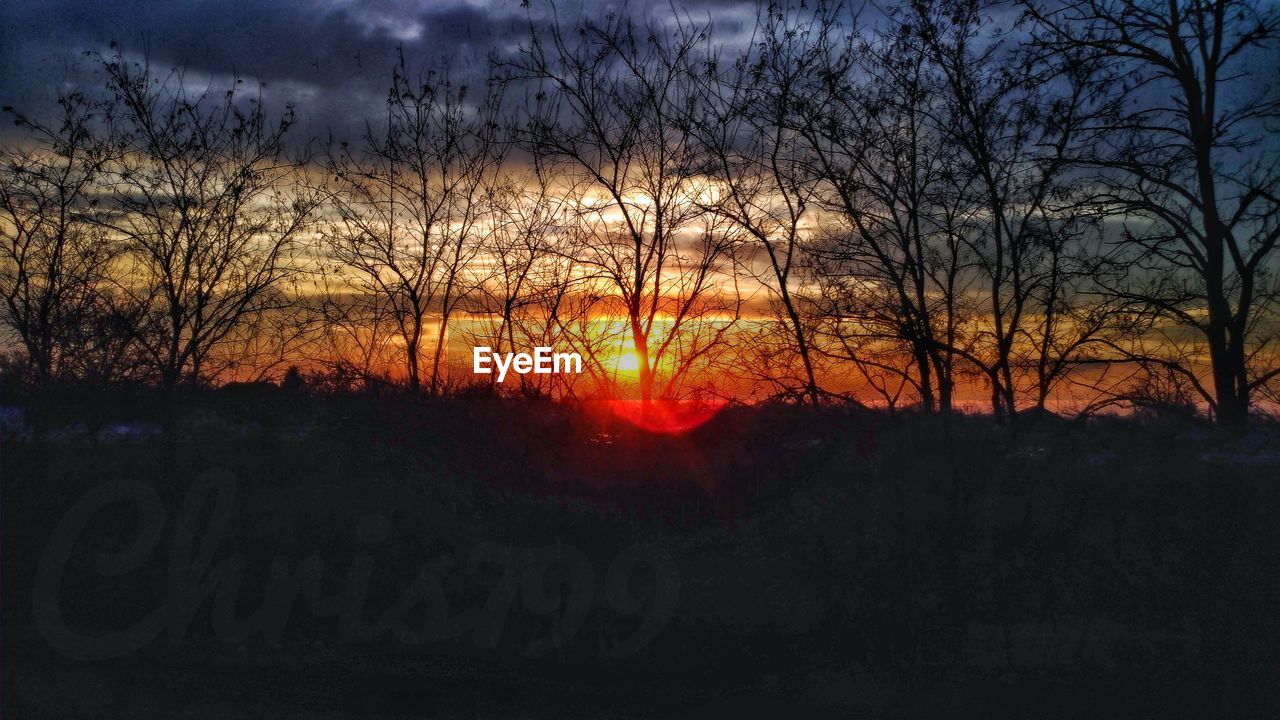 CLOSE-UP OF SILHOUETTE BARE TREES AGAINST SUNSET