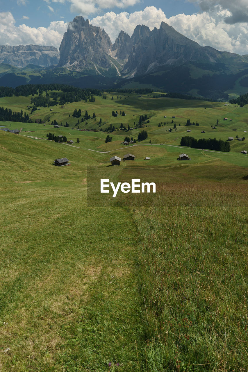 Scenic view of field against mountains