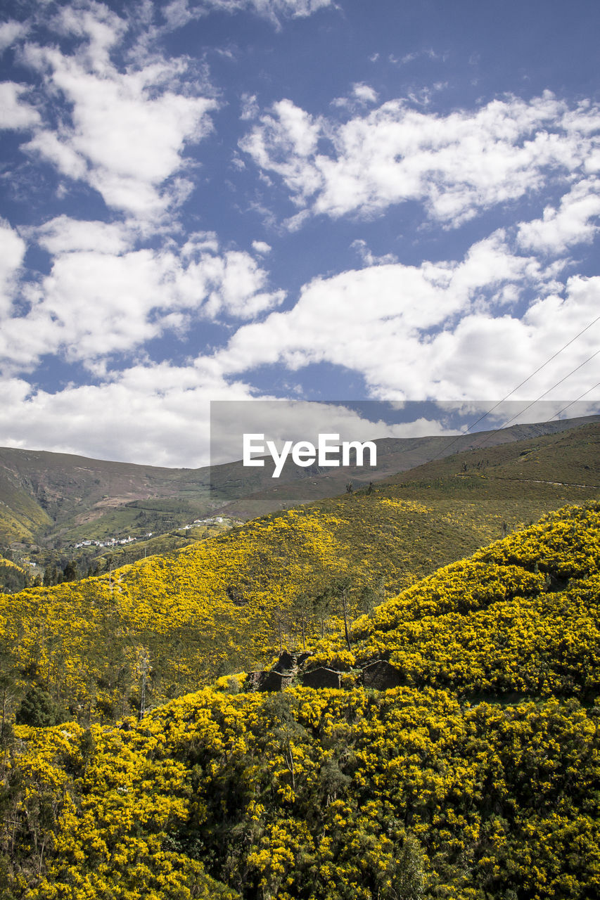 Scenic view of field against cloudy sky