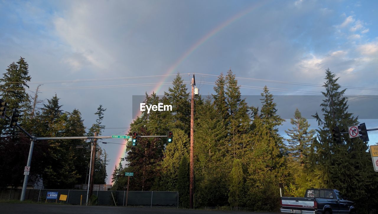 PANORAMIC VIEW OF TREES AND SKY