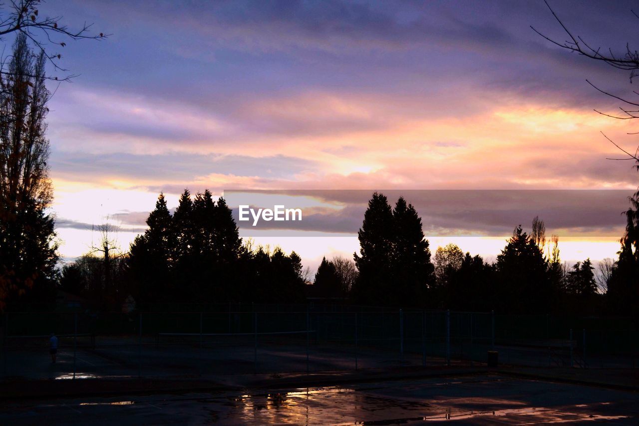 SILHOUETTE TREES BY WATER AGAINST SKY DURING SUNSET