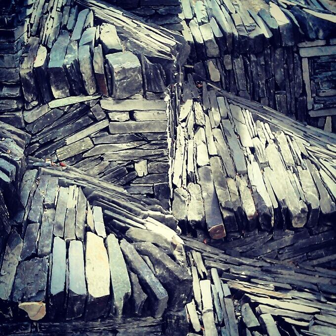 STACK OF LOGS IN THE FOREST