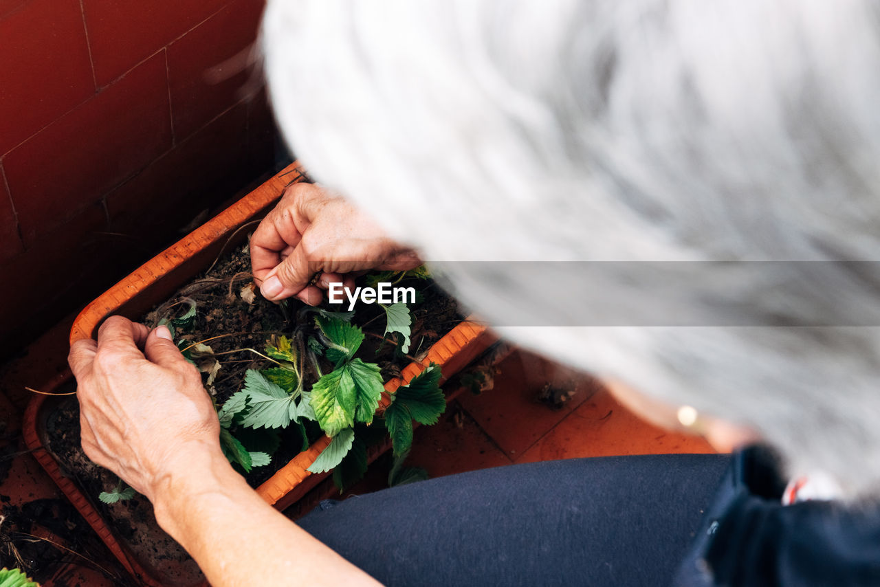 Old woman gardening on balcony