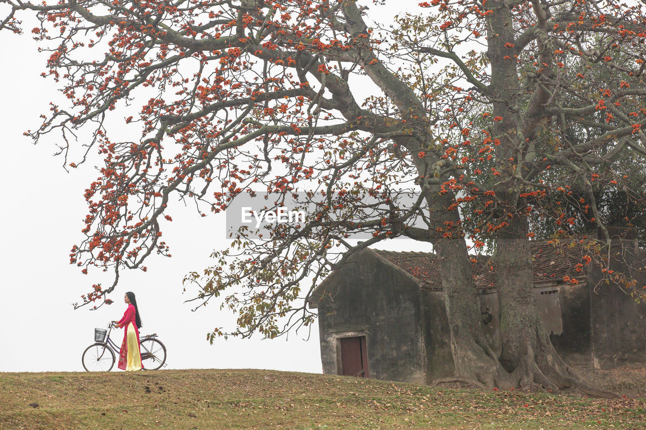 tree, plant, architecture, nature, built structure, one person, bicycle, building exterior, flower, sky, transportation, building, day, autumn, landscape, outdoors, rural area, rural scene, land, grass, adult, growth, men, branch, house, lifestyles, beauty in nature, field, full length, cycling, leaf, leisure activity