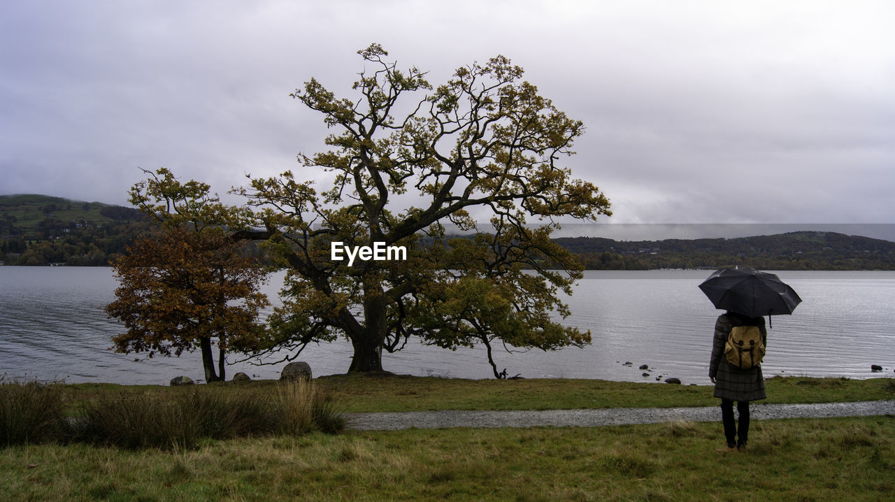 Rear view of man standing next to a tree on field by lake against sky in autumn 