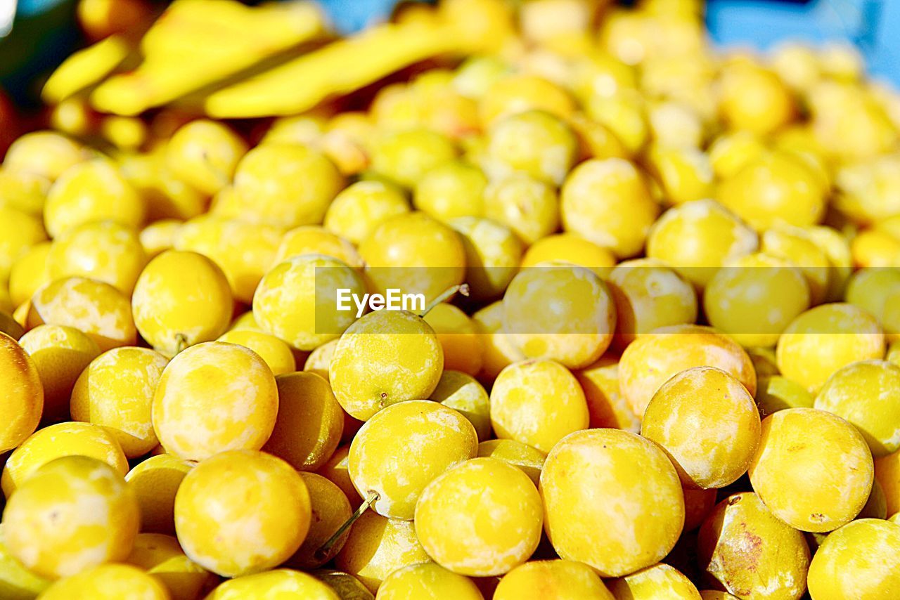 CLOSE-UP OF ORANGES FOR SALE IN MARKET