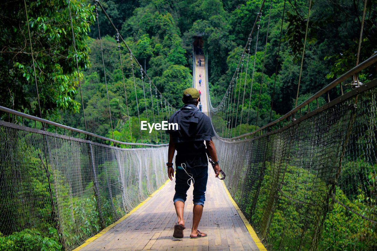 Rear view of man walking on footbridge in forest