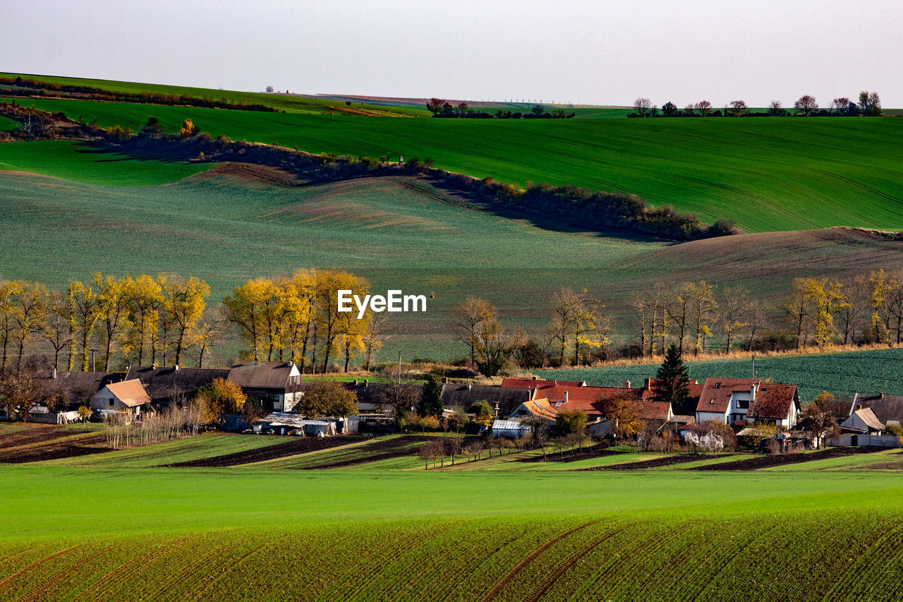 SCENIC VIEW OF RURAL LANDSCAPE