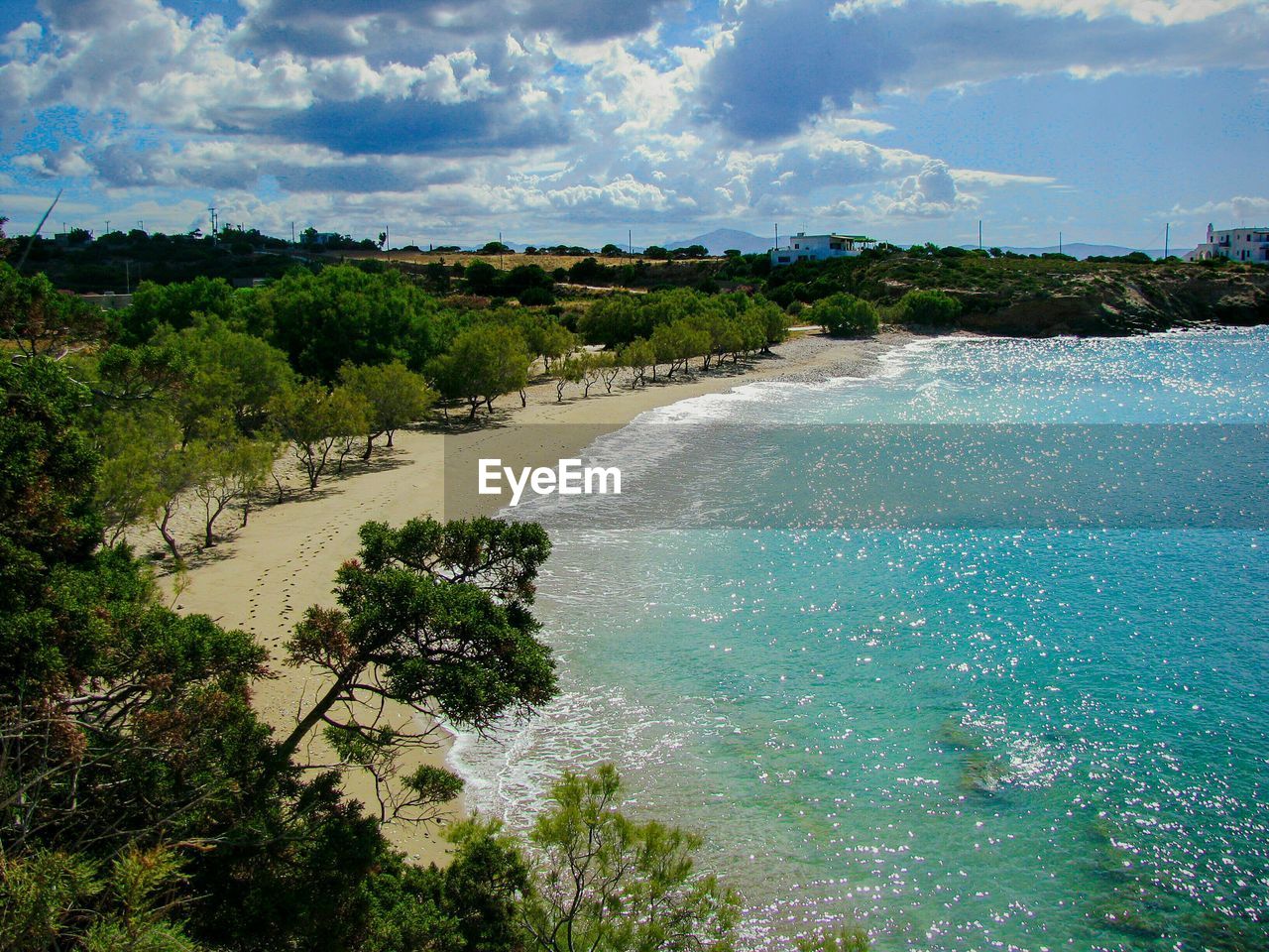 TREES ON BEACH AGAINST SKY