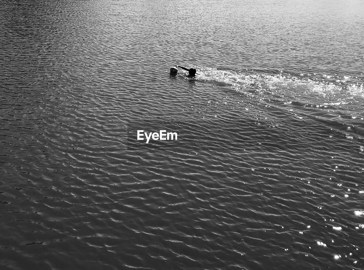 HIGH ANGLE VIEW OF TWO PEOPLE SWIMMING IN SEA