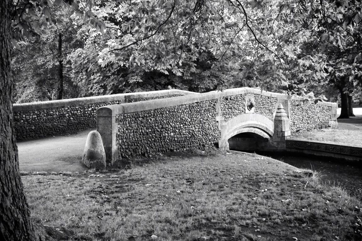 PARK BENCH IN PARK