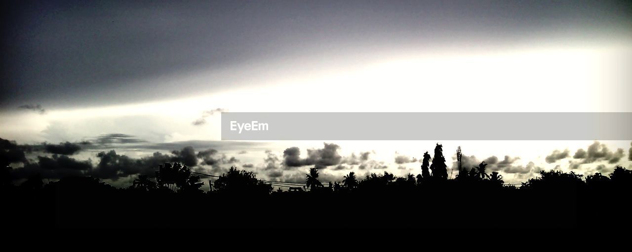 SILHOUETTE PLANTS AGAINST SKY DURING SUNSET