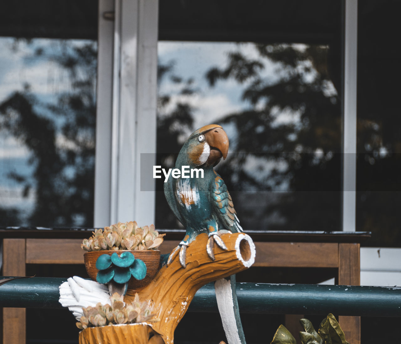 Close-up of bird perching on railing