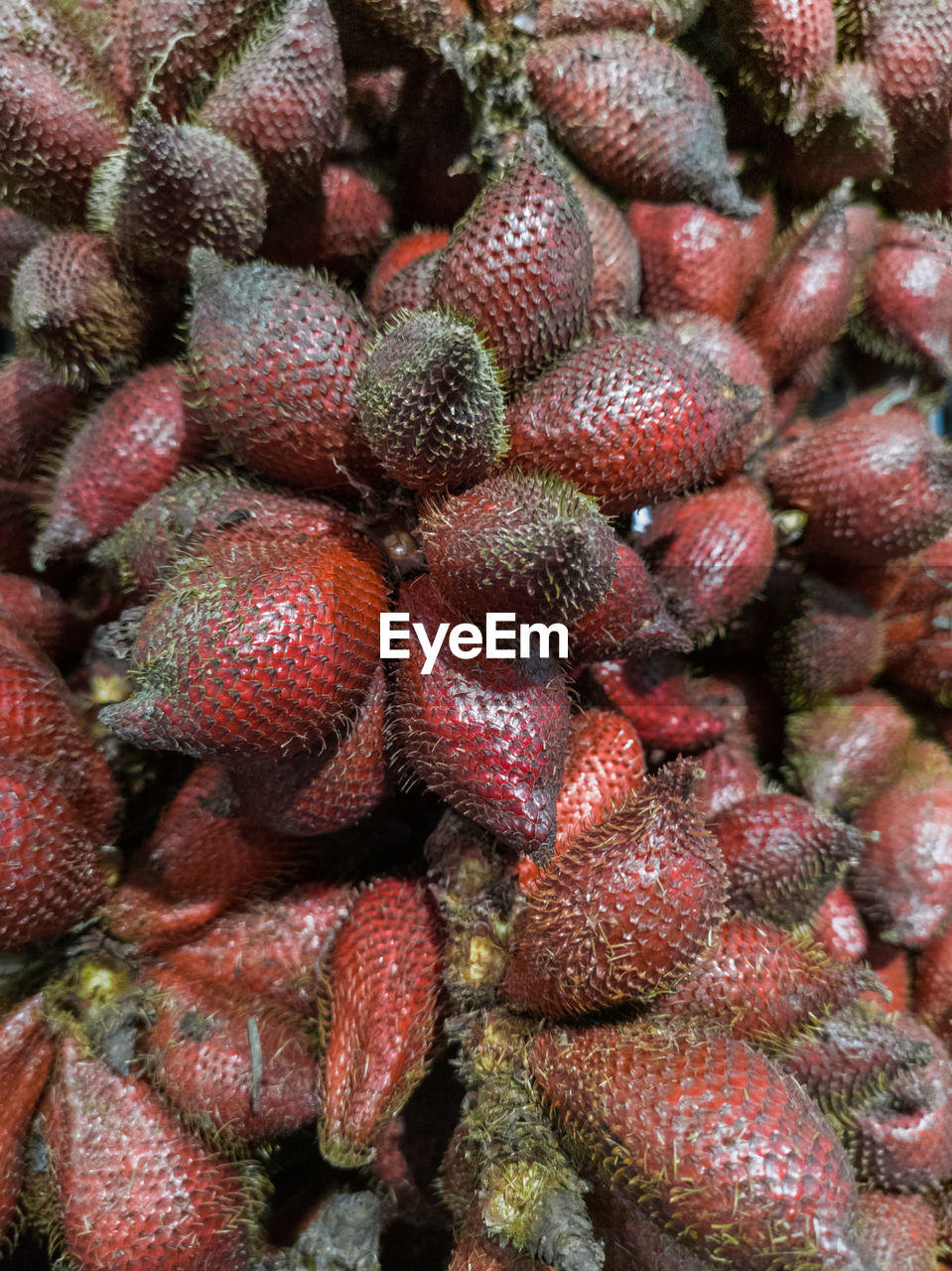 FULL FRAME SHOT OF FRESH STRAWBERRIES