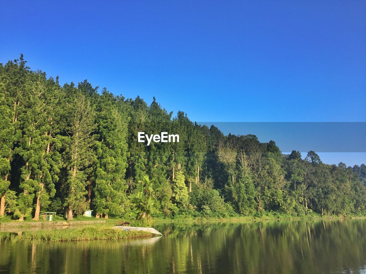 Scenic view of lake in forest against clear blue sky