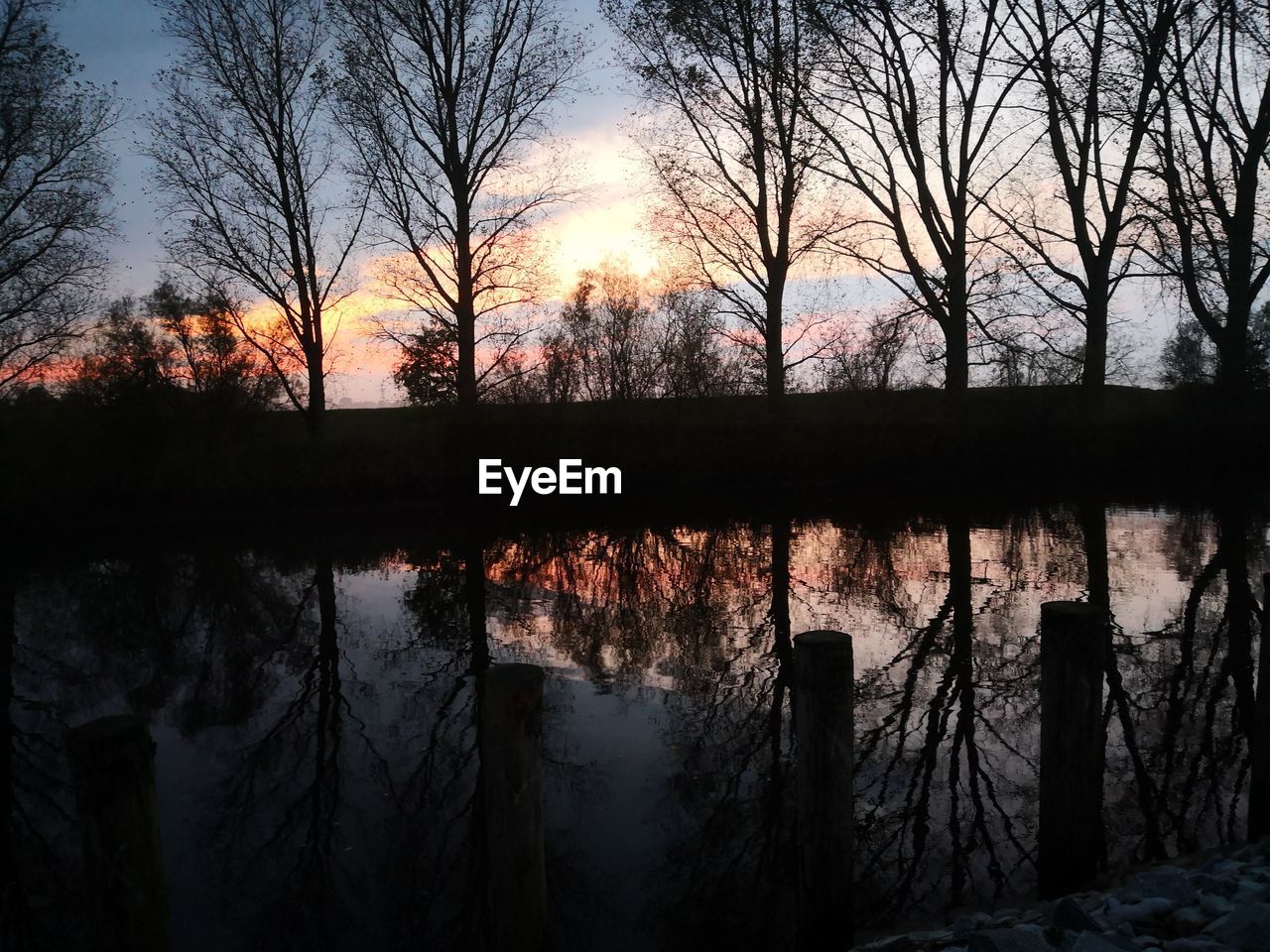 SILHOUETTE TREES BY LAKE IN FOREST AGAINST SKY AT SUNSET