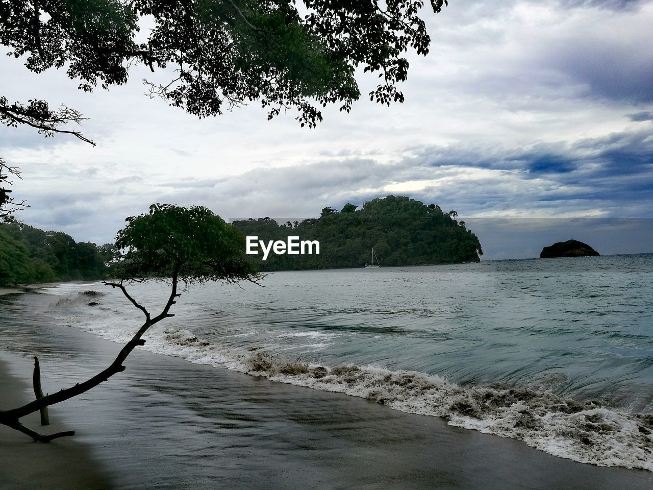 TREES ON BEACH AGAINST SKY