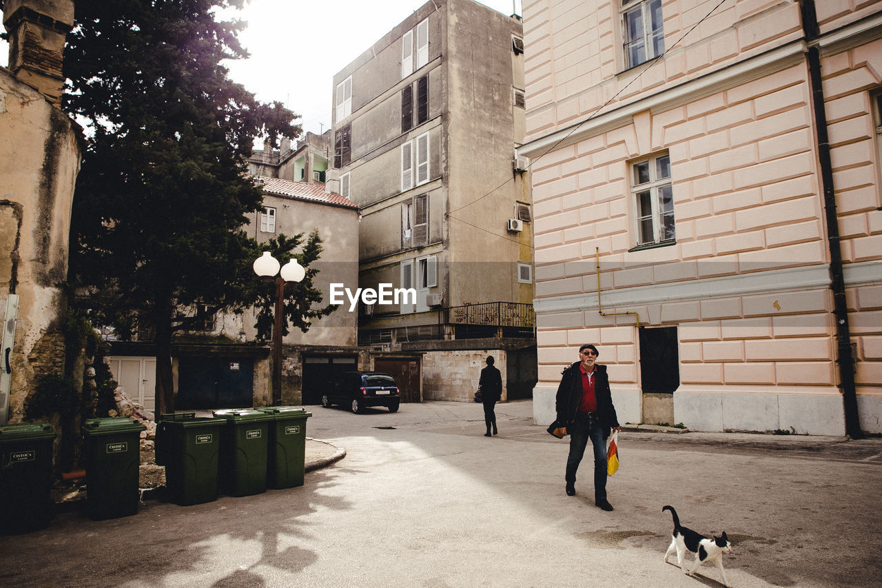 VIEW OF DOG WALKING ON STREET