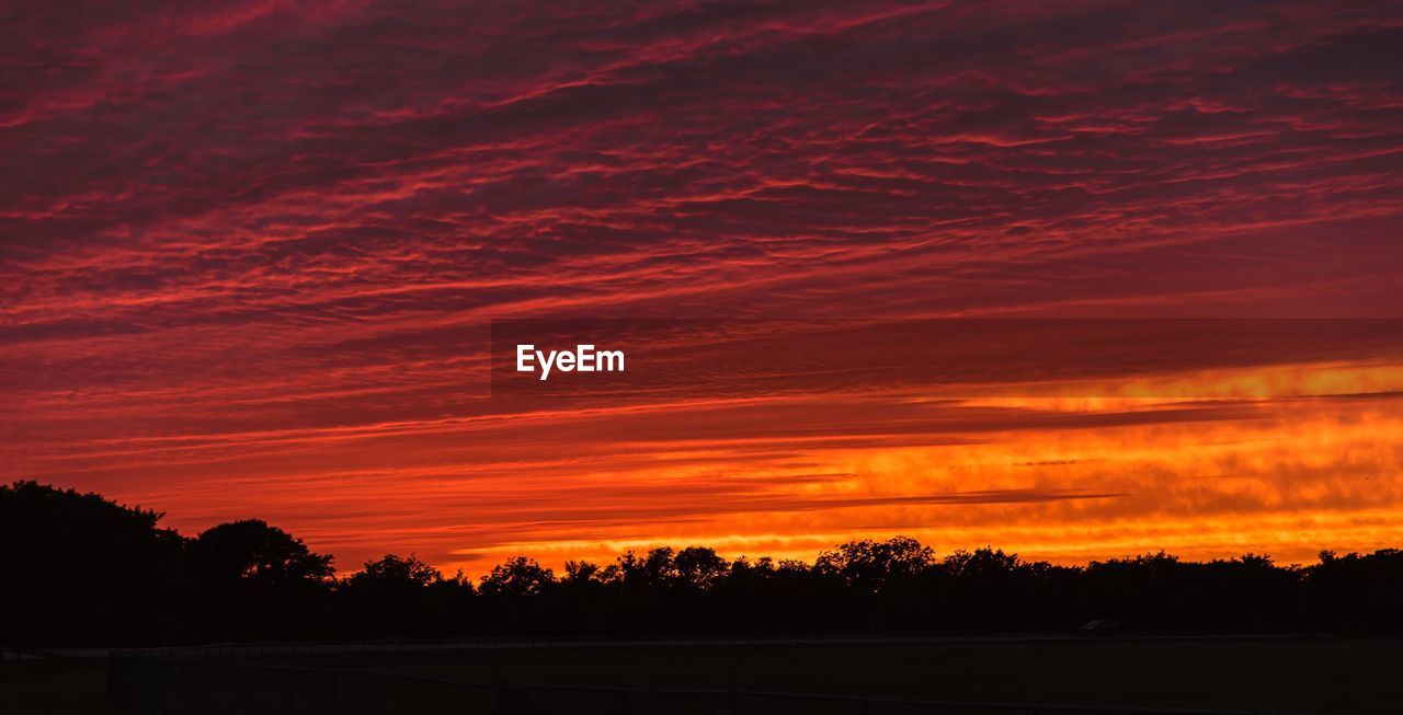 SCENIC VIEW OF SILHOUETTE TREES AGAINST ORANGE SKY