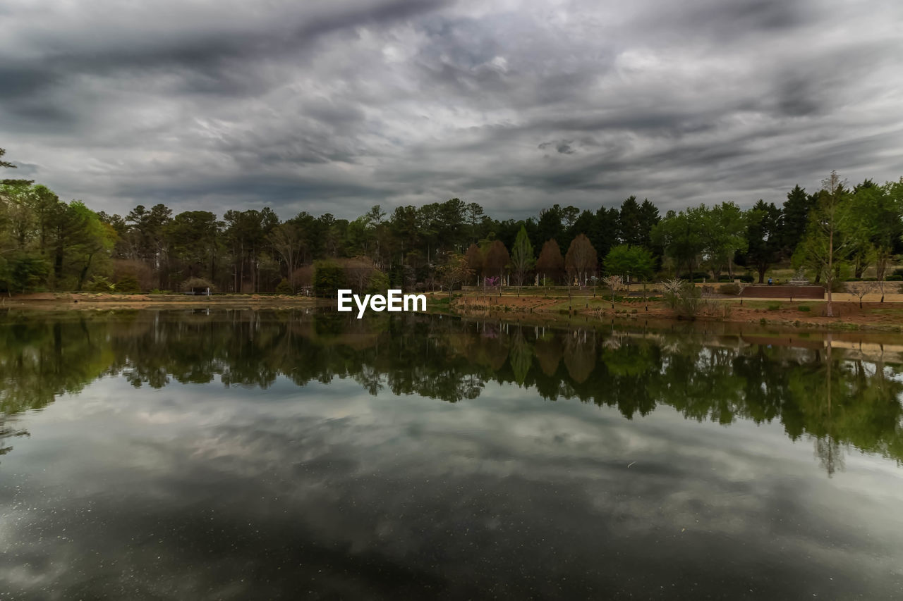 REFLECTION OF TREES IN LAKE