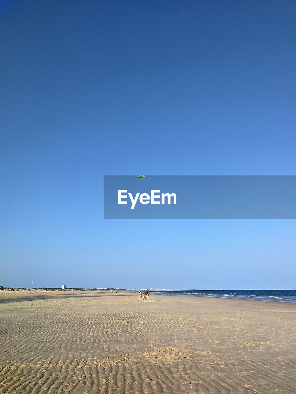 Flying a kite at the beach