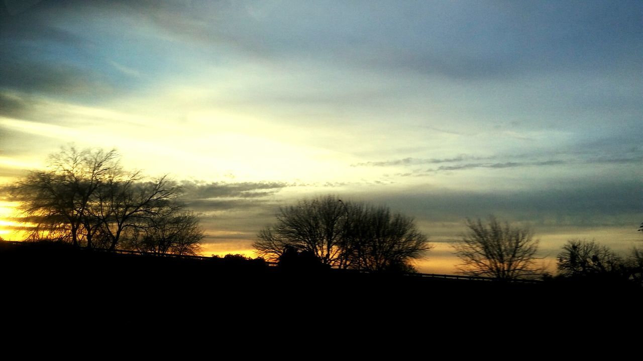 SILHOUETTE OF TREES AT SUNSET