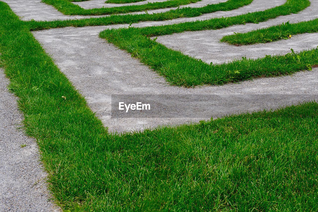 HIGH ANGLE VIEW OF FOOTPATH IN FIELD