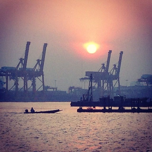 SILHOUETTE OF CRANES AT SUNSET