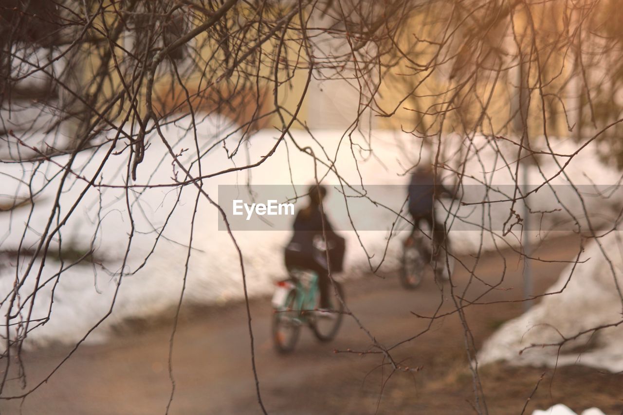 PEOPLE WALKING ON BARE TREE