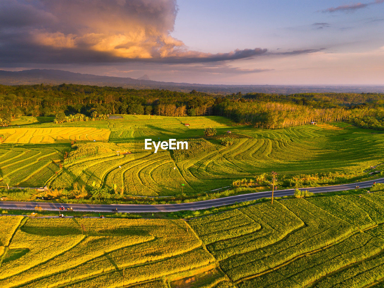 landscape, environment, agriculture, land, rural scene, field, scenics - nature, crop, farm, plant, sky, nature, beauty in nature, plain, grassland, cloud, sunset, environmental conservation, food and drink, hill, social issues, growth, travel, rural area, food, no people, tree, tranquility, sun, outdoors, sunlight, paddy field, flower, green, cereal plant, pattern, travel destinations, tranquil scene, multi colored, rice paddy, forest, valley, rice, prairie, summer, twilight, yellow, idyllic, horizon, dramatic sky, tourism, terrace, igniting, barley, architecture, freshness