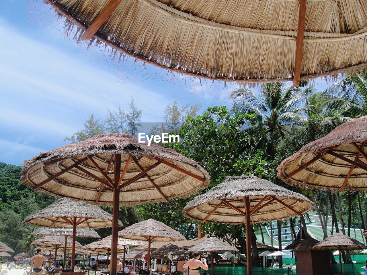 Thatched roofs against trees at tourist resort