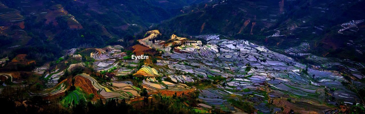 Scenic view of rice paddy and mountain