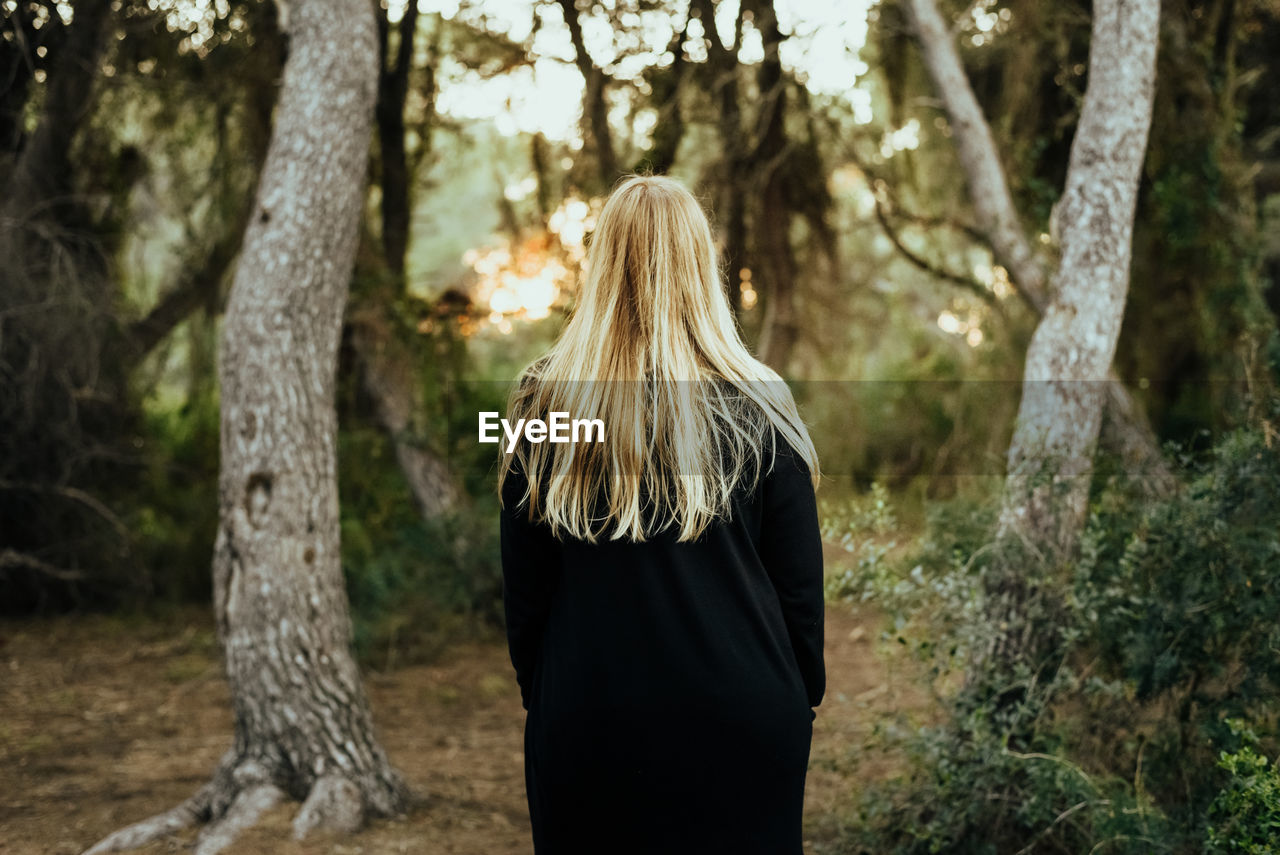 Rear view of woman standing in forest