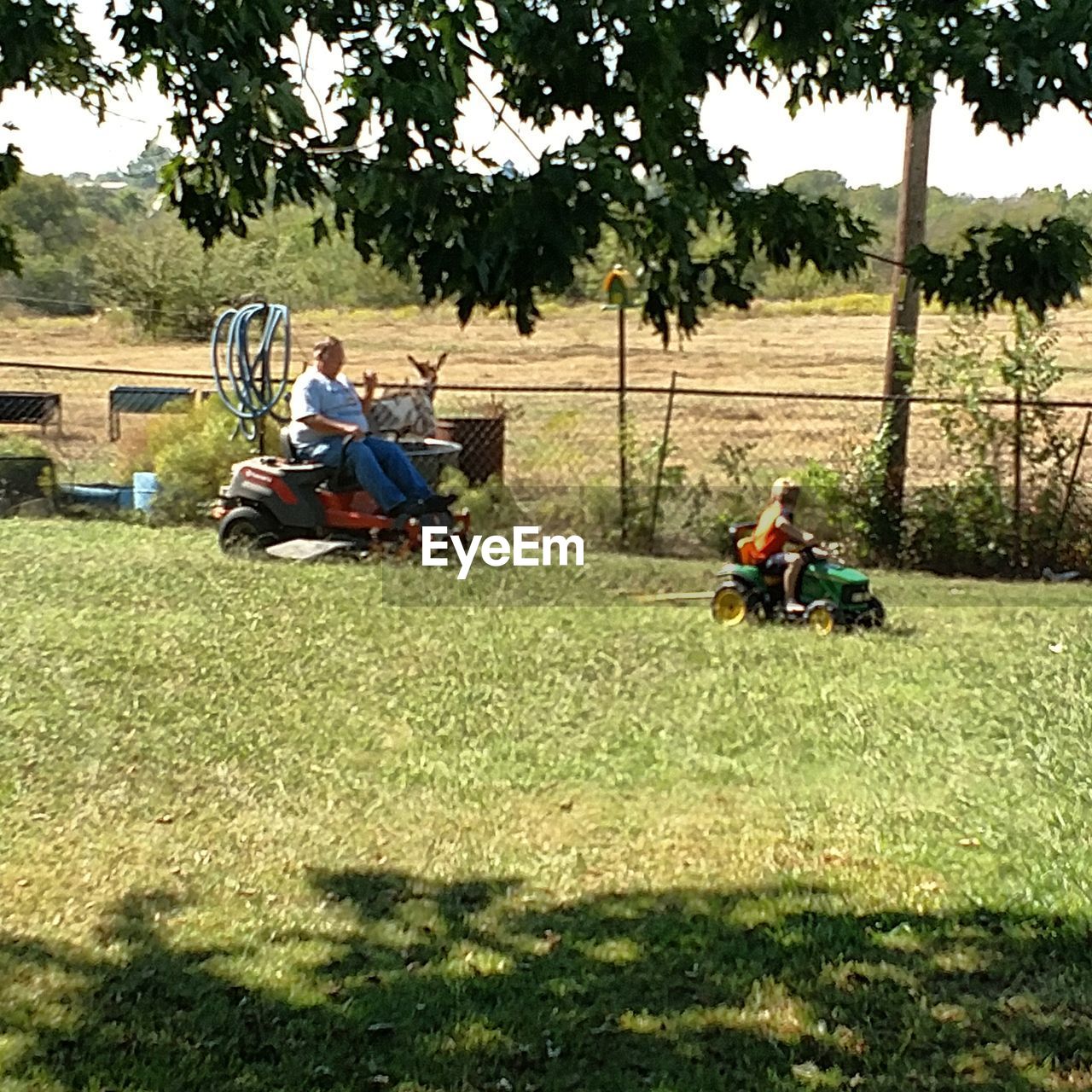 PEOPLE SITTING ON FIELD AGAINST TREES AND SKY