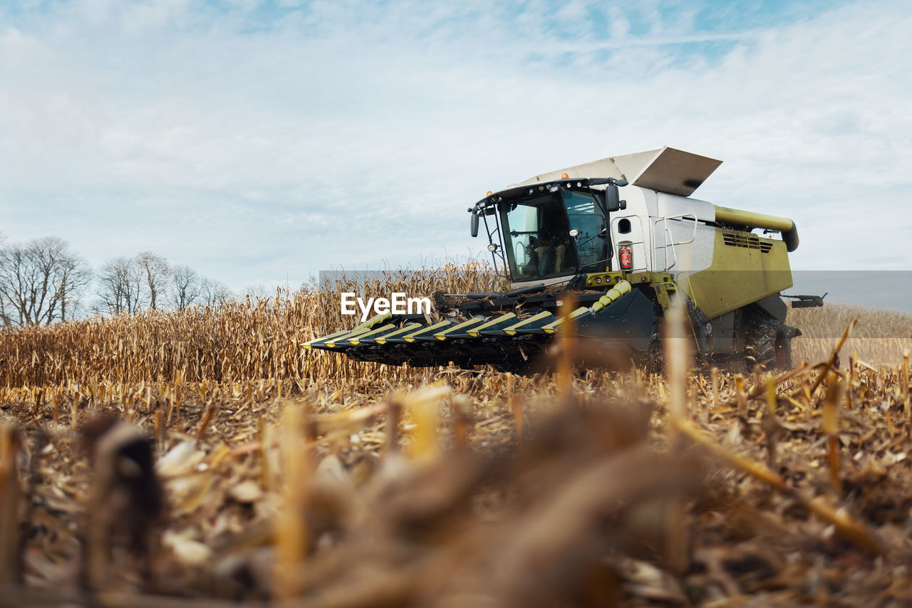 A combine harvesting corn with a modern machine, effective harvest