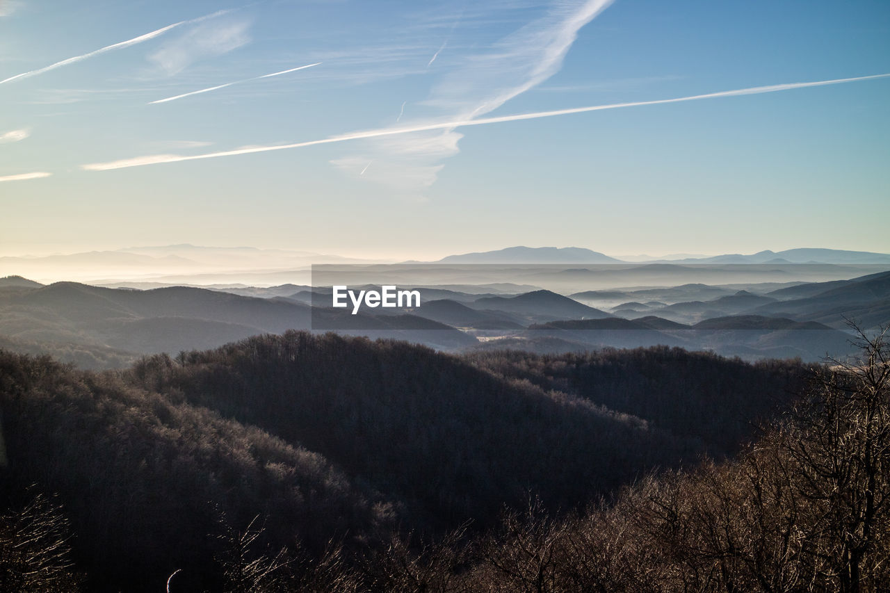 sky, environment, scenics - nature, mountain, nature, landscape, beauty in nature, tree, morning, mountain range, cloud, plant, land, dawn, tranquility, forest, sunrise, tranquil scene, no people, sunlight, non-urban scene, fog, outdoors, wilderness, winter, sun, coniferous tree, idyllic, pinaceae, pine tree, horizon, travel, cold temperature, woodland, blue, rural scene, travel destinations, valley, twilight, day, mountain peak