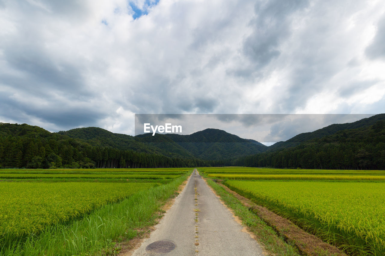 road amidst field against sky