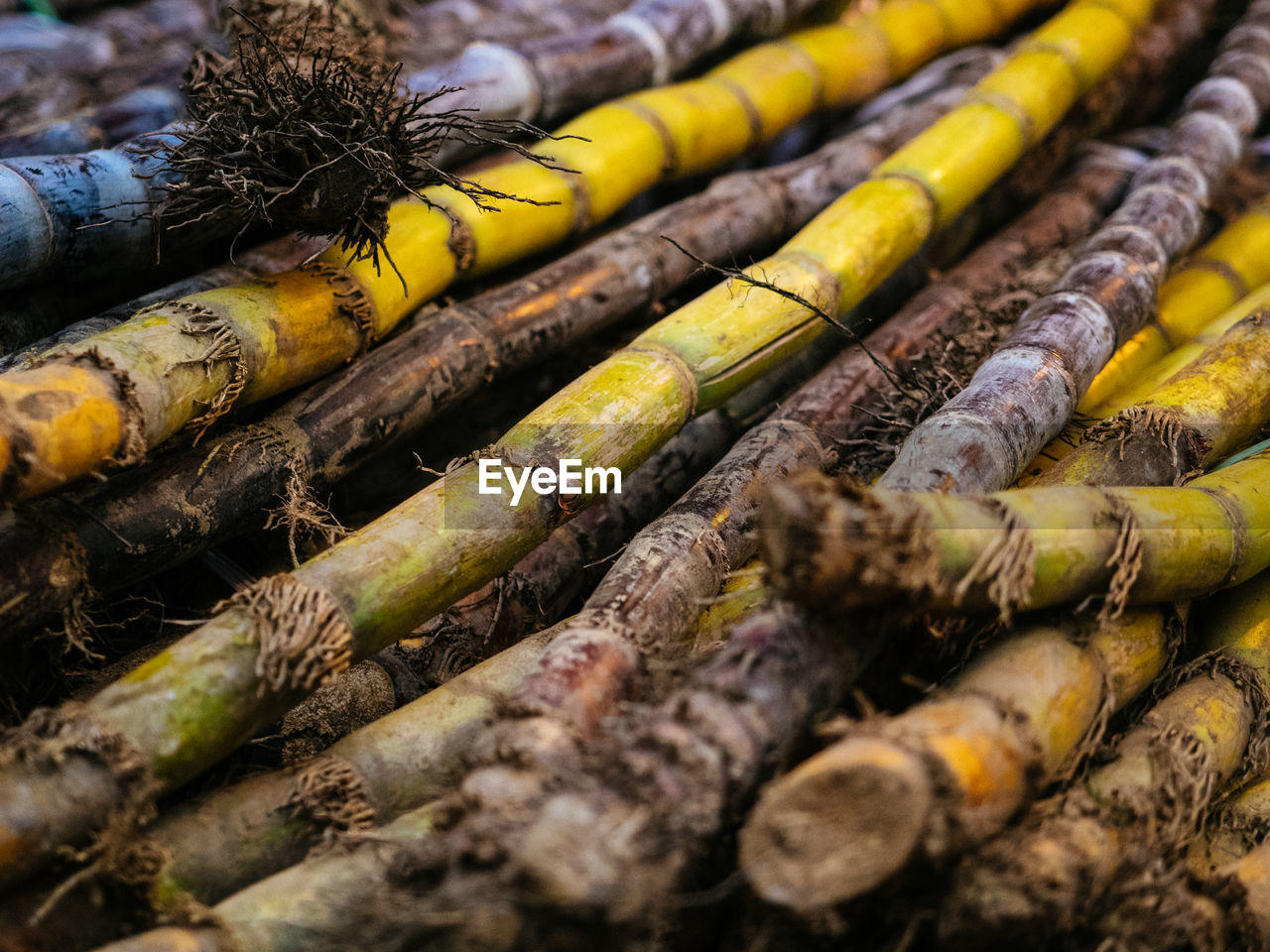 FULL FRAME SHOT OF BAMBOO ON STONE